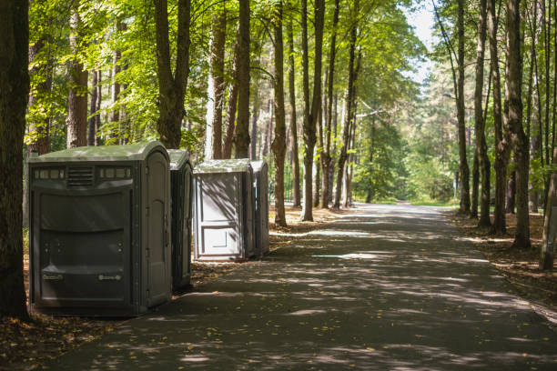 Best Luxury portable toilet rental  in Crosby, MN